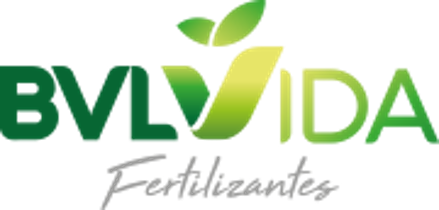BVL VIDA